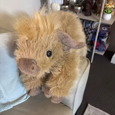 Bonnie the Highland Cow Weighted Animal