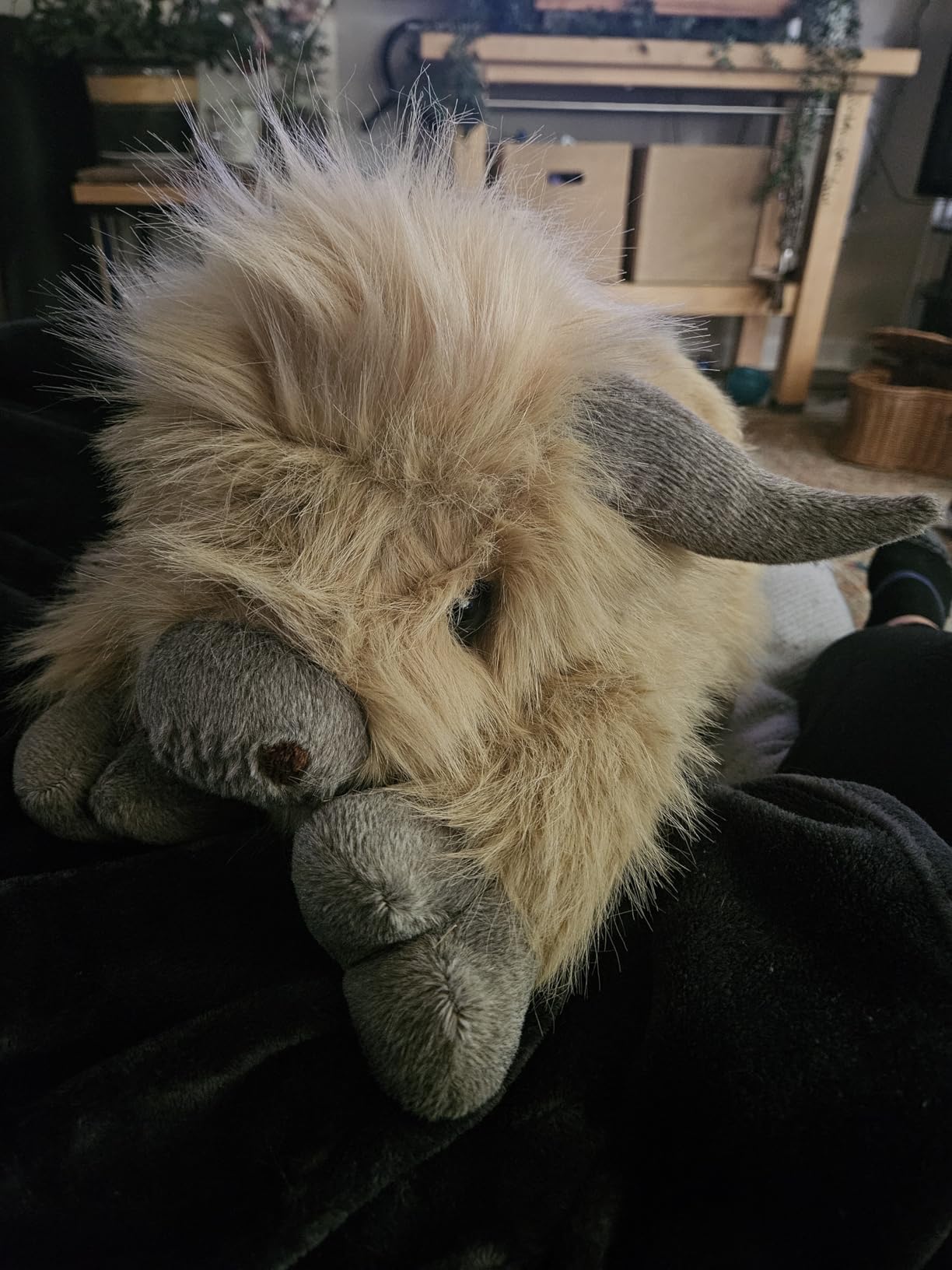 Bonnie the Highland Cow Weighted Animal