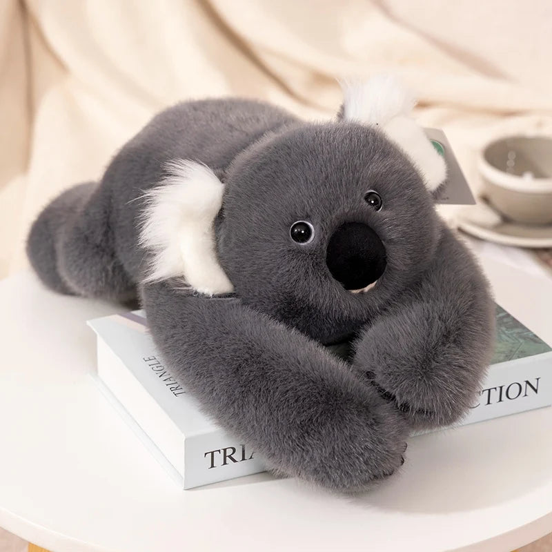 Wally the Koala Weighted Animal